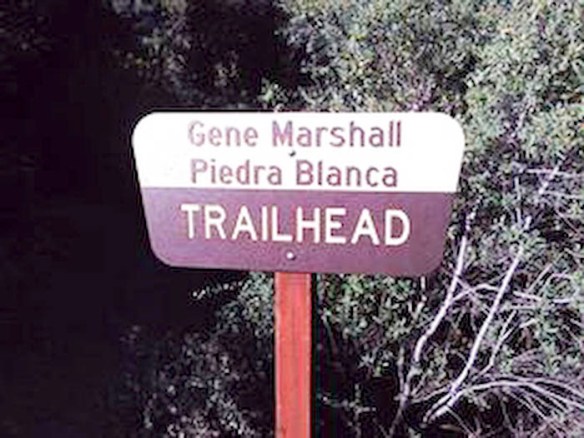 267452_10100449913486621_262284_n