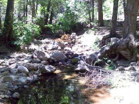 281679_10100449915836911_5500955_n