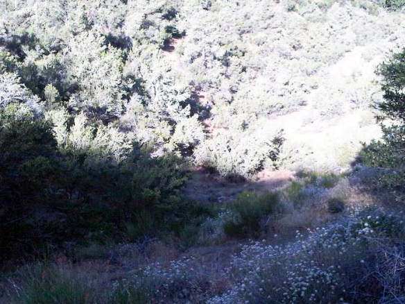 283553_10100449914205181_2774219_n