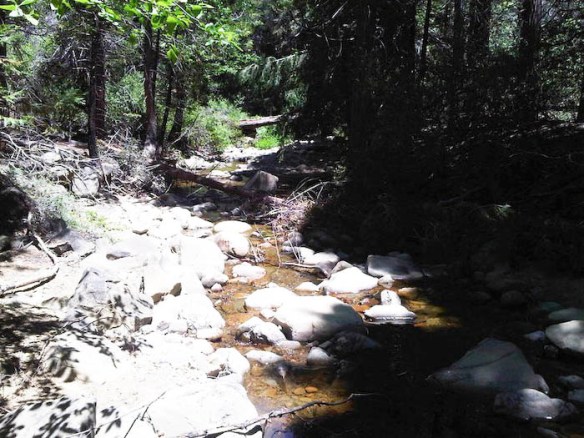 284725_10100449915622341_817141_n