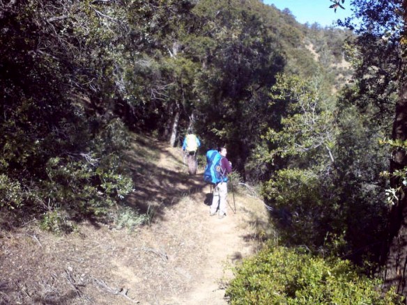 295004_10101105229073931_334401300_n