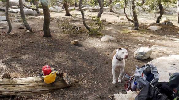 935509_10101778562109131_127365607_n