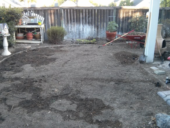 IMG_20130611_063821[1]