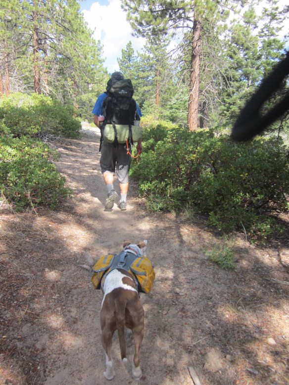 Teton Sport Backpack