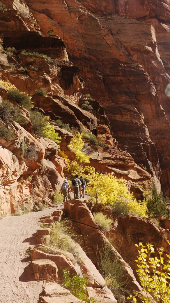 Zion National Park