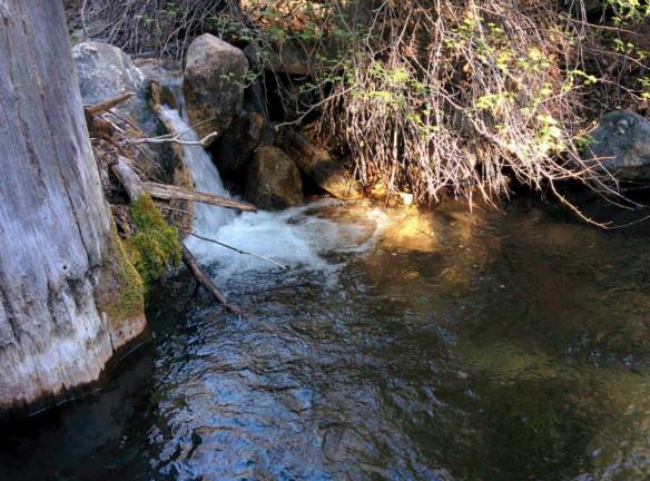 alger creek camp site