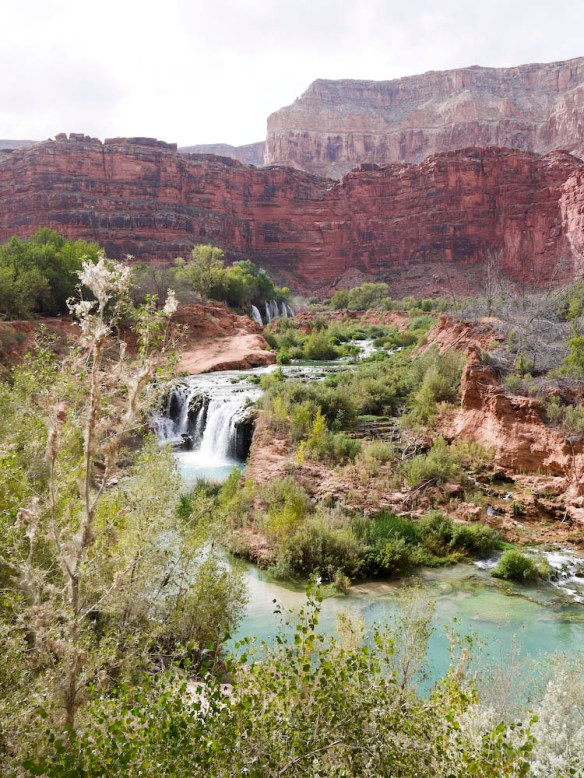 Havasupai Falls