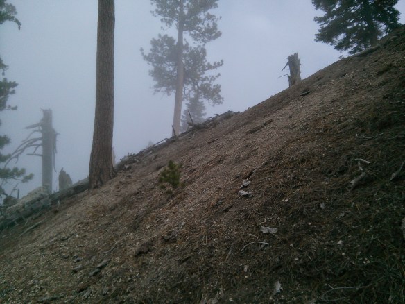 Unmaintained portion of the trail