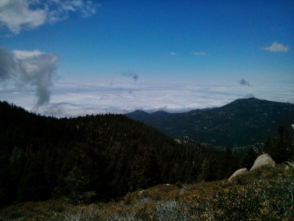 Another beautiful day above the clouds. 