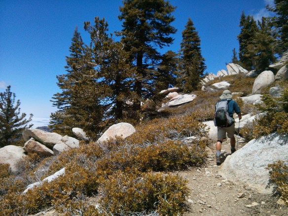 The climb never seem to stop.