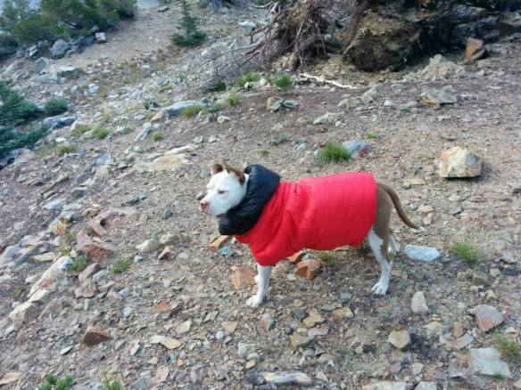 Queen Dakota in her quilt. It got pretty cold after the sunset.