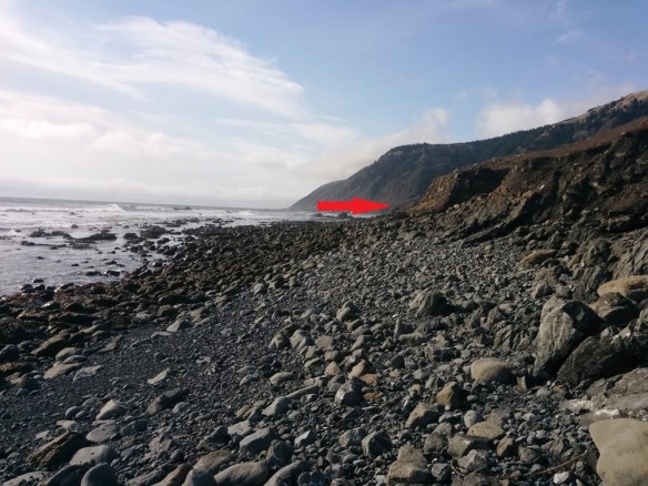 impassable-sea lion gulch