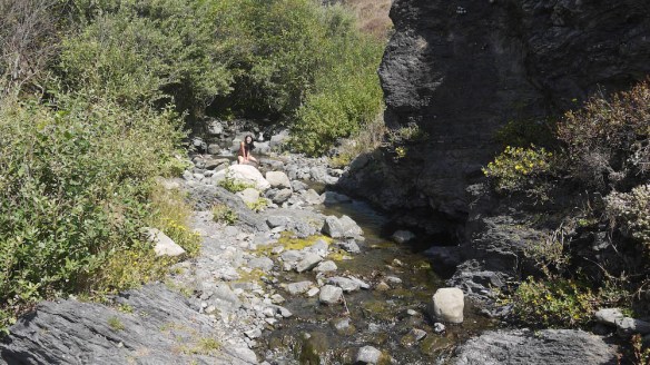 Found a nice and cool spot inside Randall Creek and went for a swim