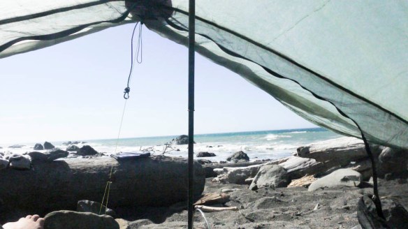 And we spent our afternoon resting before crossing Sea Lion Gulch 