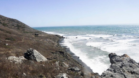 Later that afternoon, we were on top of Sea Lion Gulch scooping out the tide. 