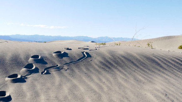 Mesquite sand dunes