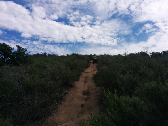 Mariposa Trail.jpg
