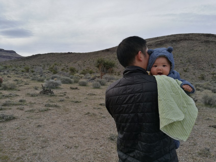Cima Domes, Mojave National Preserve