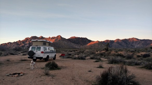 IMG_20170307_060549513