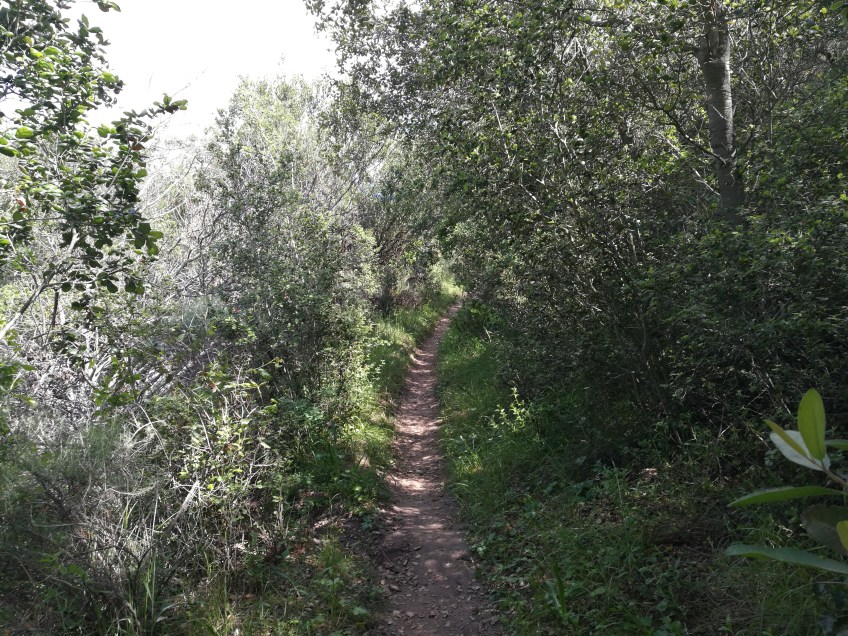 Homestead Hoffman Trail