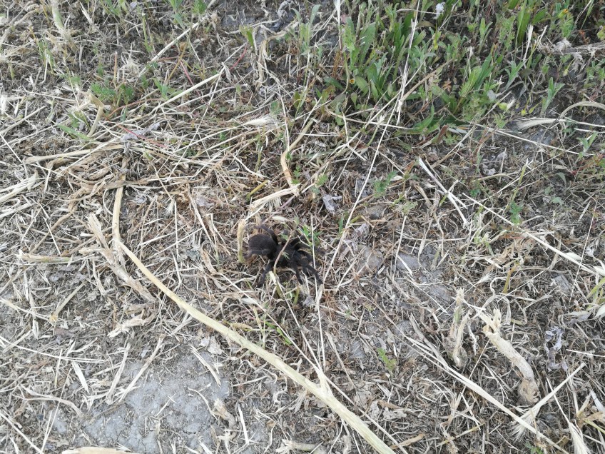 O'neill Regional Park Camp